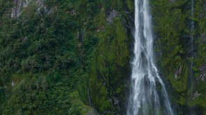 Stirling falls with ship in front Stirling falls is one of the permanent waterfalls in the fiords, which is at its most spectacular after very heavy rain dropping 146 meters (505 feet) .
