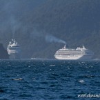 Cruise ships at Doubtful Sound